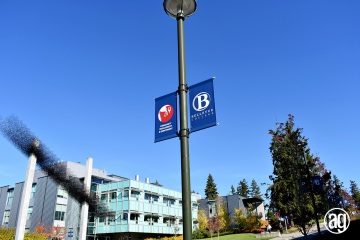 bellevue-college-pole-banners-07_gallery