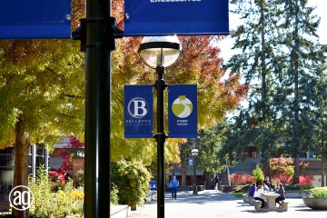 bellevue-college-pole-banners-31_gallery