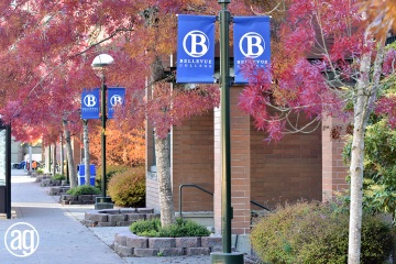 bellevue-college-pole-banners-56_gallery