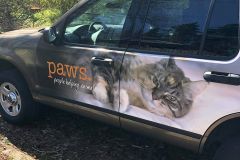 PAWS-SUV-Wrap-2