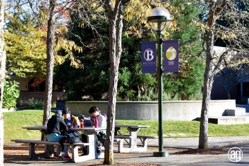 bellevue-college-pole-banners-64_gallery