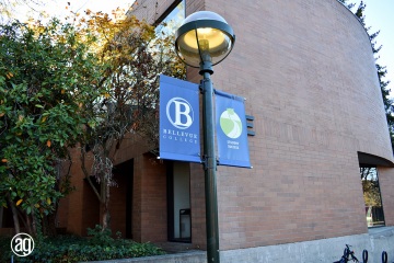 bellevue-college-pole-banners-68_gallery