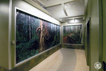 AlphaGraphics-Seattle-wall-graphic-installation-112-1