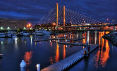 SR 509 Cable Bridge